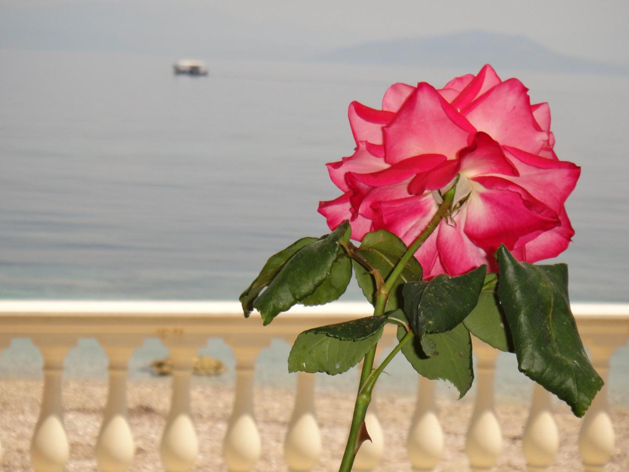 Corfu Sun Sea Side