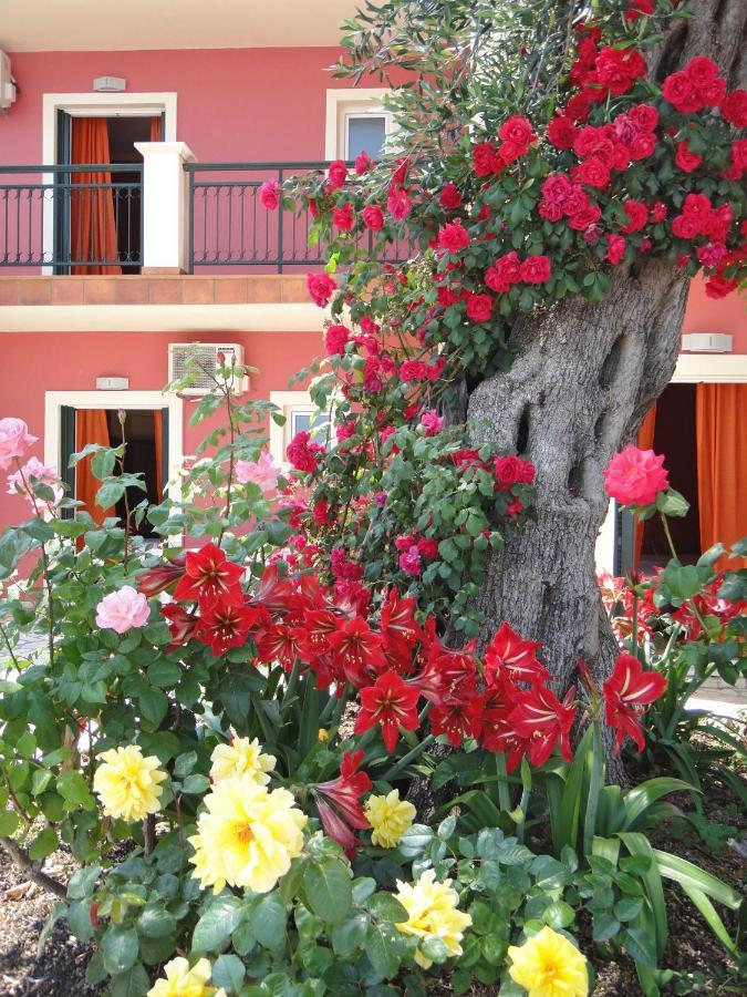 Corfu Sun Sea Side Aparthotel Benitses (Corfu)