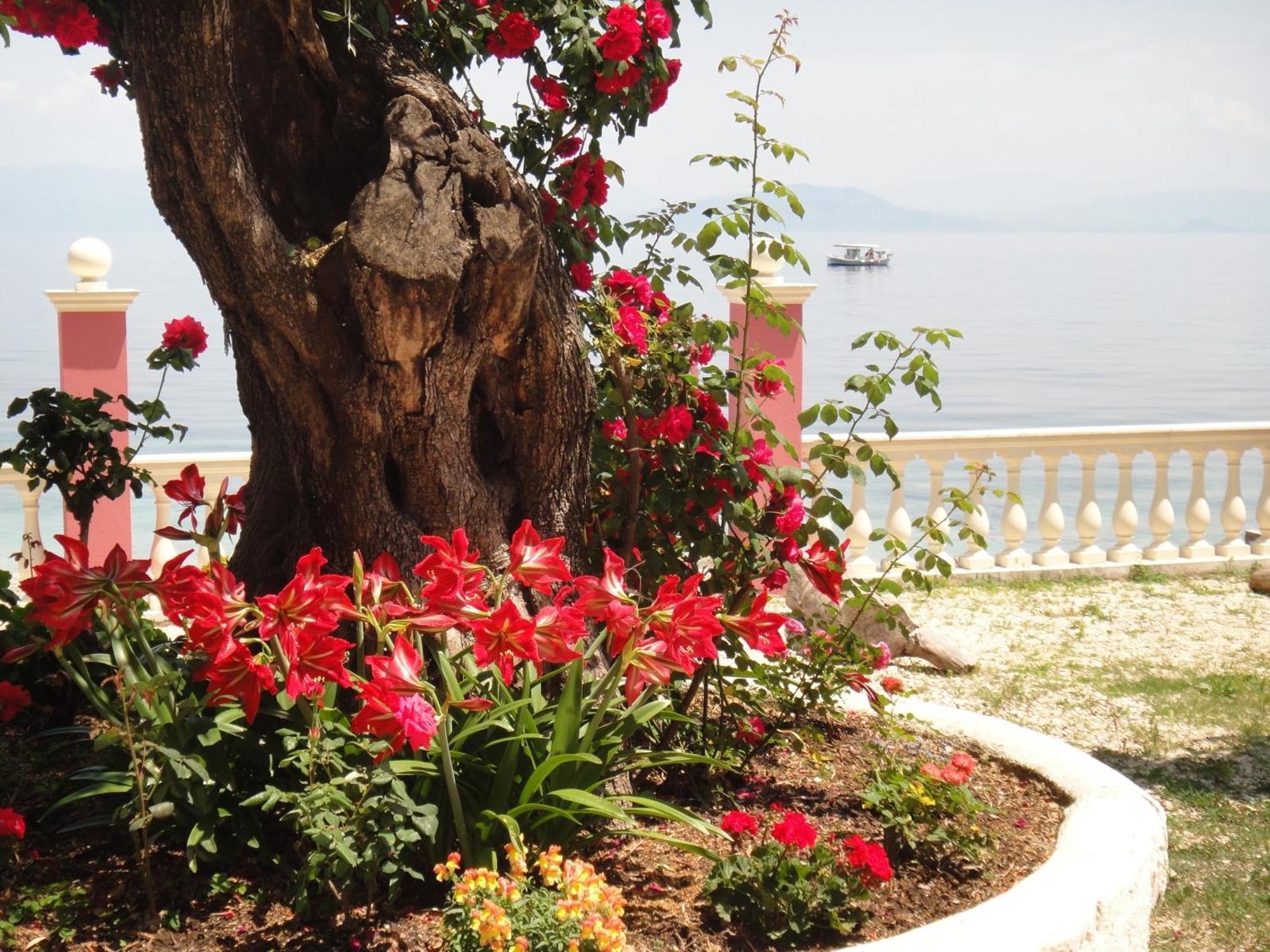 Aparthotel Corfu Sun Sea Side